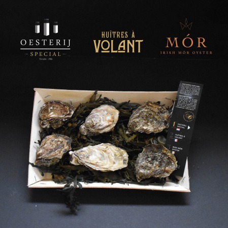 Europa proefmand deluxe - oesterij - oysters - tastingbox - Europe